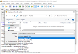 Imagen guardando el documento PDF en audiolibro.