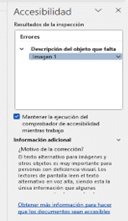 Imagen de resultado de la inspección de accesibilidad.